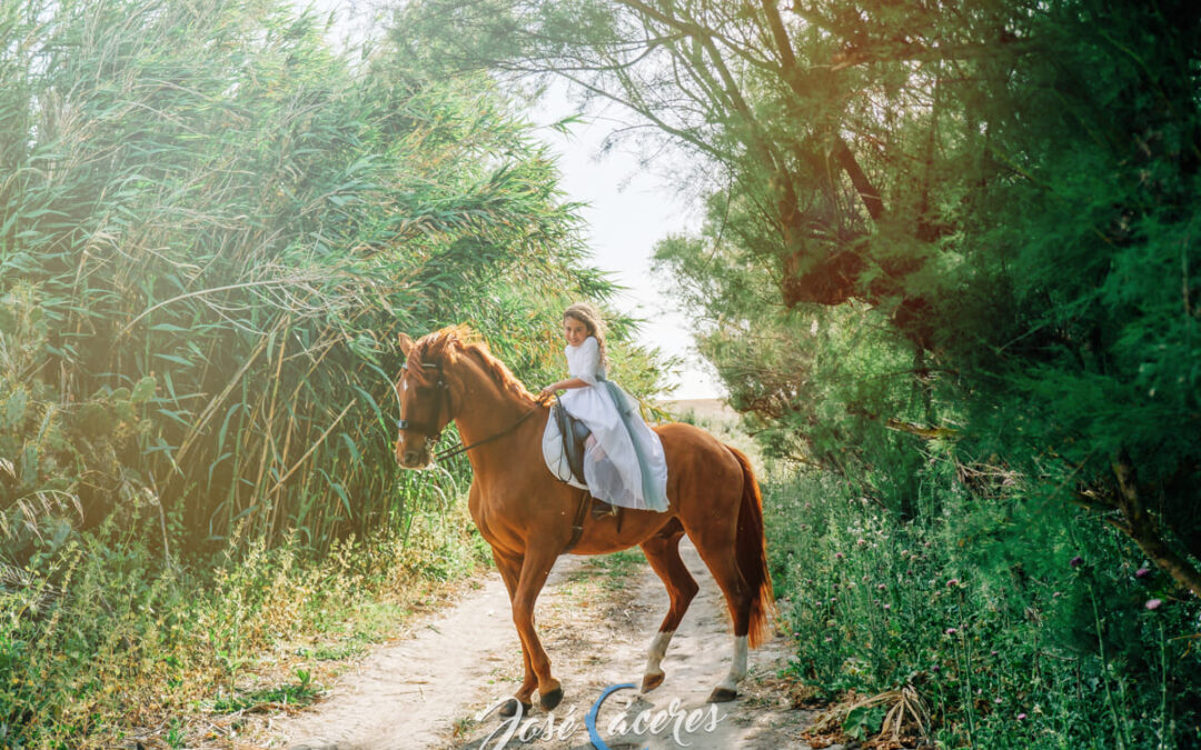 Reportaje de Comunión a Caballo en Jerez