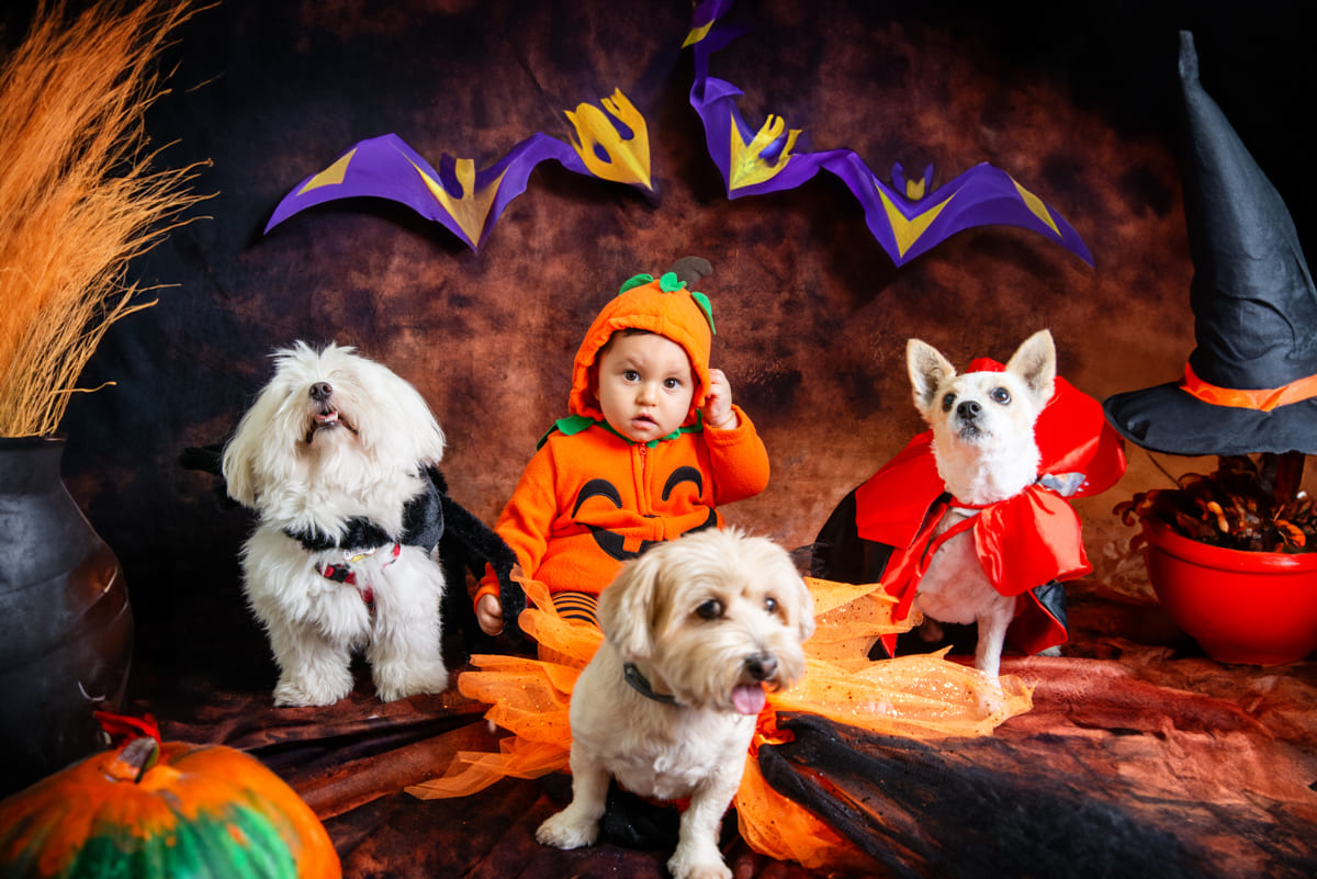 fotos de halloween para niños