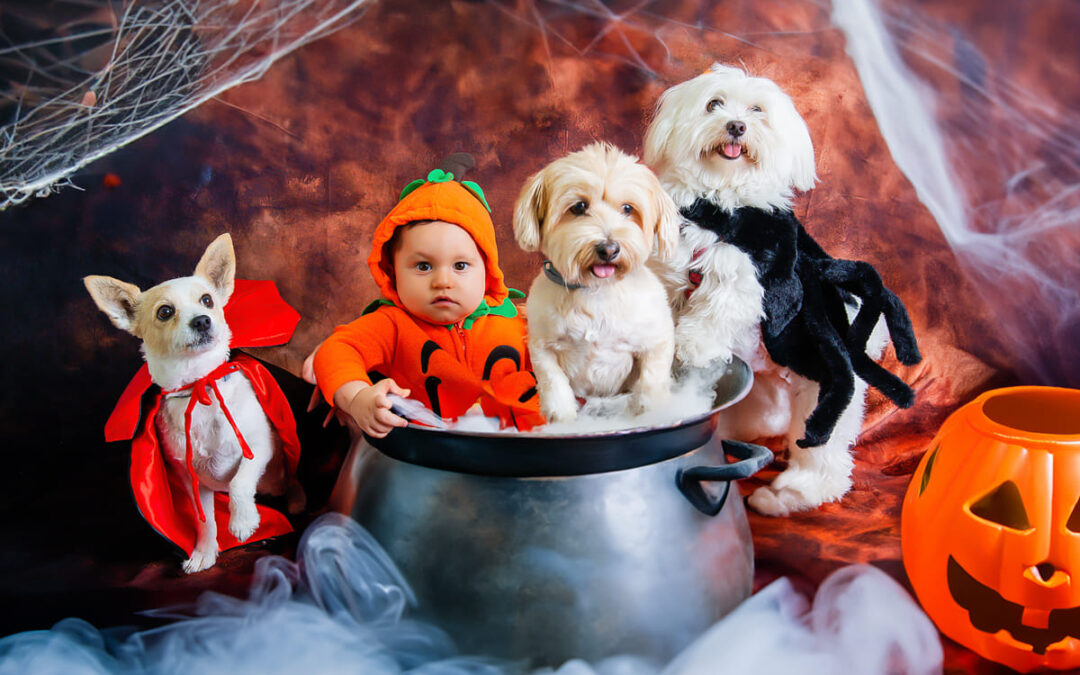 Ideas de fotos de disfraces infantiles en Halloween